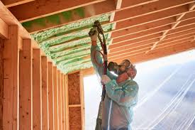 Best Blown-In Insulation  in Carrollton, OH